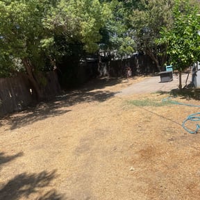 Bush Trimming by Mojica Lawn Care reviewed on August 27, 2024
