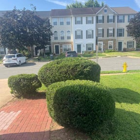 Bush Trimming by VC&B Custom Lawn Care reviewed on August 8, 2022