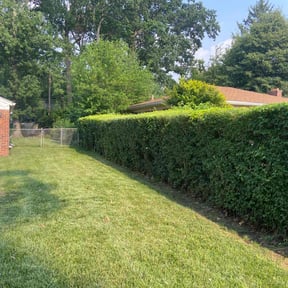 Bush Trimming by Kyle Yacko reviewed on June 16, 2025