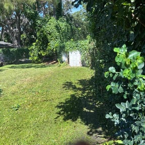 Bush Trimming by Hoffa's Pools and Honeydoos reviewed on April 21, 2025