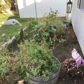 Flower Bed Weeding by Agape Lawn & Outdoor Home Care LLC reviewed on June 28, 2022