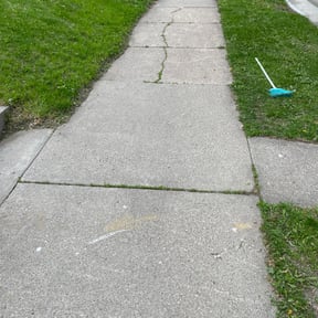 Cleanups by Premier lawn solutions reviewed on July 27, 2025