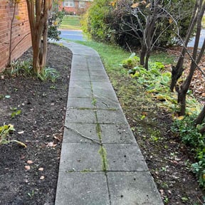Leaf Removal by Lawn services JAV reviewed on June 2, 2025