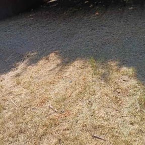 Flower Bed Weeding by Ocampo Lawn care reviewed on July 5, 2022