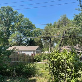 Cleanups by Bro J's LawnCare &amp; Landscaping reviewed on November 1, 2024