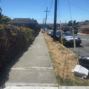 Cleanups by Tikitiki Garden Service reviewed on December 31, 2024