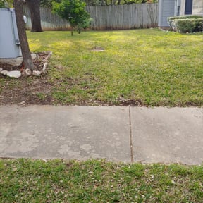 Leaf Removal by LD Brown Landscaping And Pressure Washing reviewed on June 20, 2022
