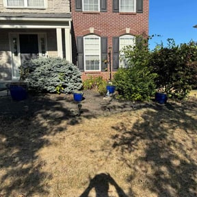 Weeding by Jay R reviewed on May 15, 2025