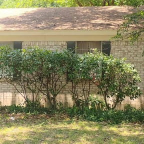 Bush Trimming by SunnyDay Lawn Service+Maintance reviewed on October 25, 2022