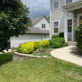 Bush Trimming by Mora Brothers Tree and Landscaping reviewed on May 24, 2022