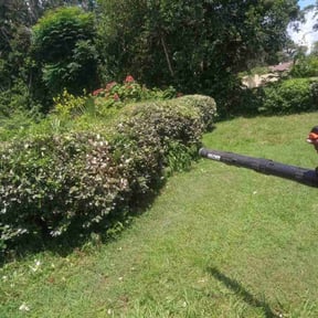 Bush Trimming by Casper Lawncare reviewed on April 22, 2025
