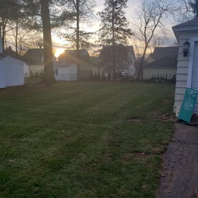 Leaf Removal by BRDOC - Lawn Care reviewed on June 15, 2022