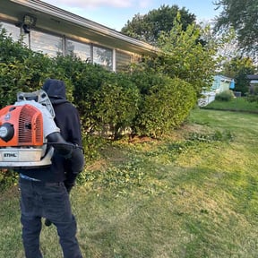 Bush Trimming by Northern Wolf reviewed on May 9, 2022