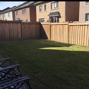 Bush Trimming by vets lawn care reviewed on June 16, 2022