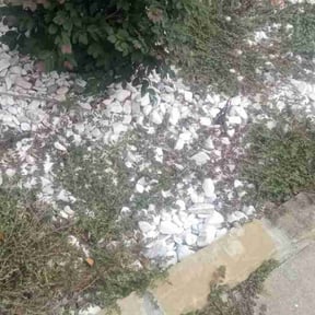 Flower Bed Weeding by AST reviewed on May 6, 2025