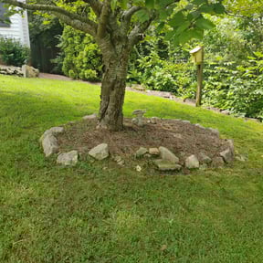 Weeding by Isaiah's Custom Cutz reviewed on July 9, 2022