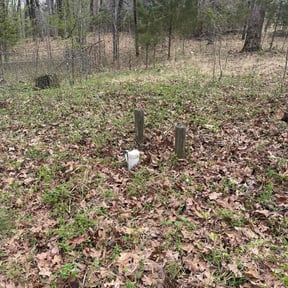 Cleanups by MagnoliaOne Lawn Care reviewed on August 7, 2025