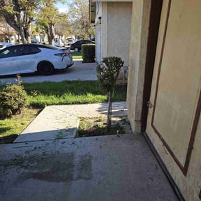 Bush Trimming by Geaux Superior Landscaping reviewed on March 25, 2022