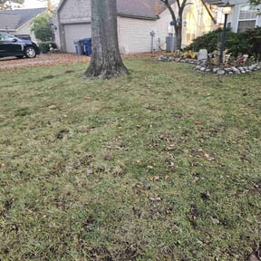 Leaf Removal by Rody & Mel's Landscaping reviewed on September 17, 2021