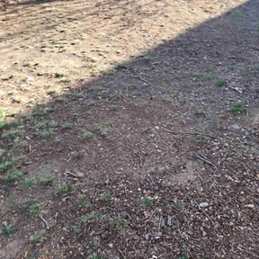 Leaf Removal by Precision Lawn Experts reviewed on March 10, 2025