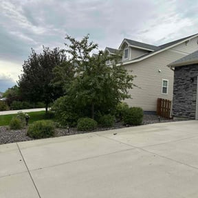 Bush Trimming by KJ &amp; Co reviewed on June 3, 2025