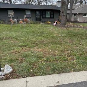 Leaf Removal by Vazquez Lawncare reviewed on November 27, 2024