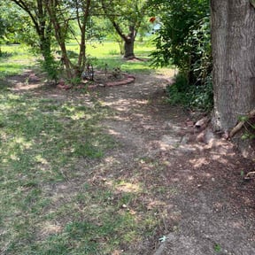 Cleanups by BluGrass Groomers Lawn Care reviewed on July 28, 2022