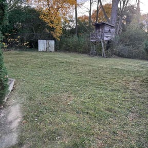 Leaf Removal by Ronnie Thacker reviewed on February 25, 2022