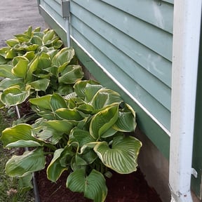 Landscaping by Donald Austile Lawn Care reviewed on August 5, 2022