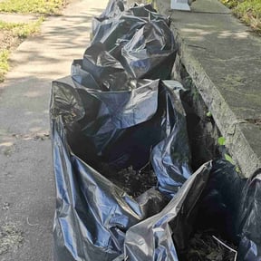 Leaf Removal by Grizzly Lawn Care reviewed on October 14, 2021