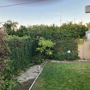 Bush Trimming by Lightning Lawn Care Services reviewed on June 10, 2022
