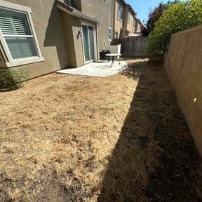 Cleanups by Mora's Landscape and Maintenance reviewed on July 29, 2022