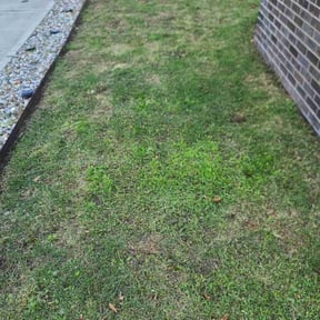 Leaf Removal by B&,c reviewed on June 7, 2022