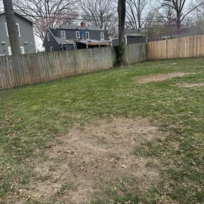Leaf Removal by Active Property Care reviewed on July 26, 2022
