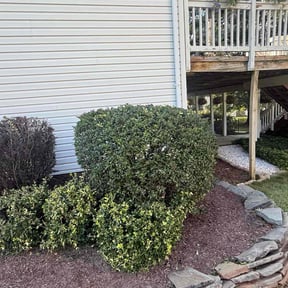 Bush Trimming by Sgp Lawn services reviewed on October 6, 2022