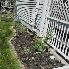 Weeding by KingsBuck outdoor services reviewed on July 20, 2022