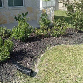 Cleanups by David landscaping services reviewed on March 22, 2025