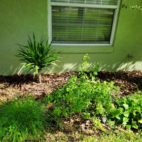 Flower Bed Weeding by Northern Wolf reviewed on June 2, 2022