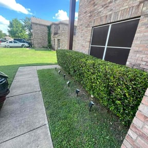 Bush Trimming by Levi's Lawn Artist reviewed on June 21, 2022