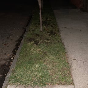Leaf Removal by Howards Elite Lawn Care and Landscaping reviewed on May 1, 2025