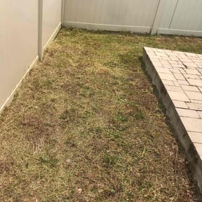 Cleanups by Back Street Properties, LLC reviewed on August 2, 2022