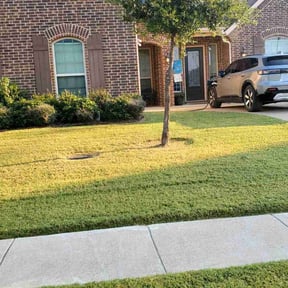 Flower Bed Weeding by Valencia Landscaping reviewed on April 13, 2025