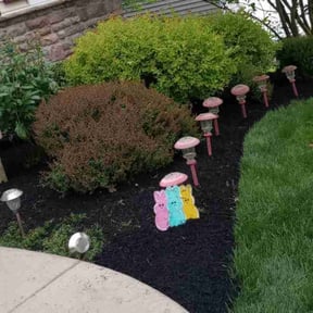Flower Bed Weeding by Lawn services reviewed on July 11, 2022