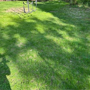 Leaf Removal by All Quality Lawn LLC. reviewed on April 27, 2022