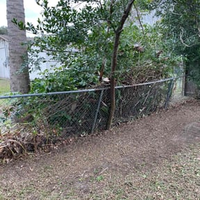 Bush Trimming by Better Price Lawn Service of Central Florida, LLC reviewed on June 12, 2025