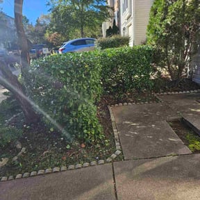 Bush Trimming by AMT Tactical Lawn Care reviewed on July 25, 2022