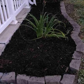 Mulching by All Seasons Landscape & Hauling reviewed on March 20, 2022