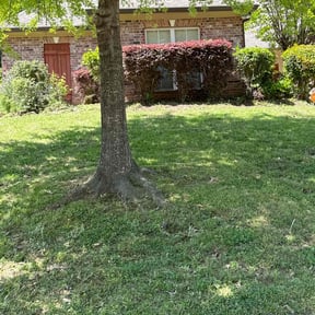 Bush Trimming by Guerrero's Lawn Service reviewed on July 9, 2022