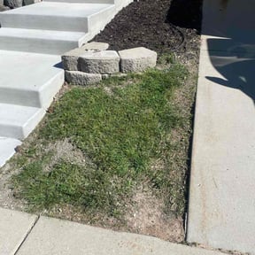 Mulching by Hillscapes reviewed on July 14, 2022