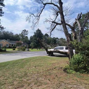 Bush Trimming by Limelight Lawns LLC reviewed on January 11, 2025